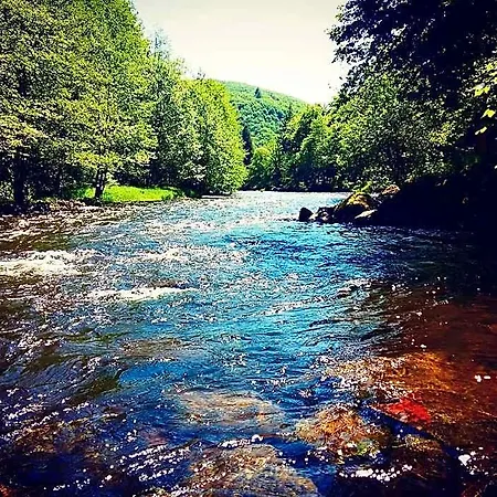 Colombier